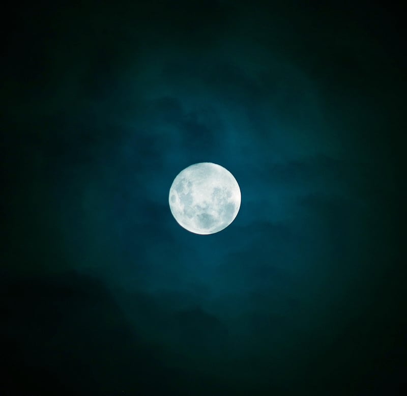 Moonlit Nuptials